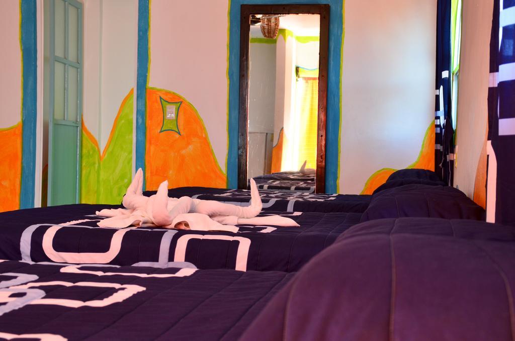 Adventure Experience Hotel Playa del Carmen Exterior photo