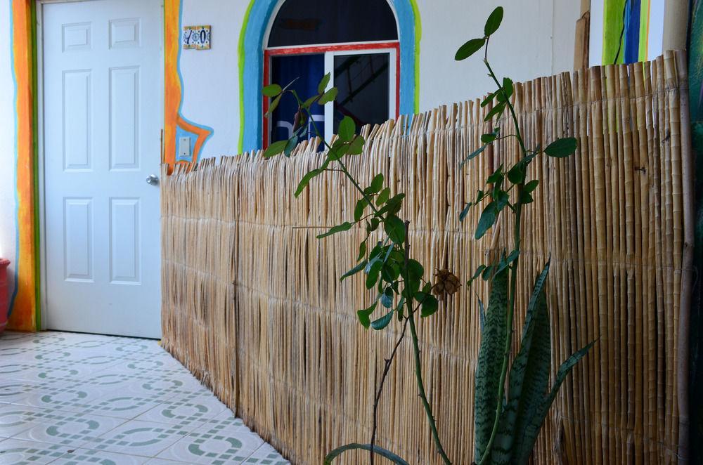 Adventure Experience Hotel Playa del Carmen Exterior photo