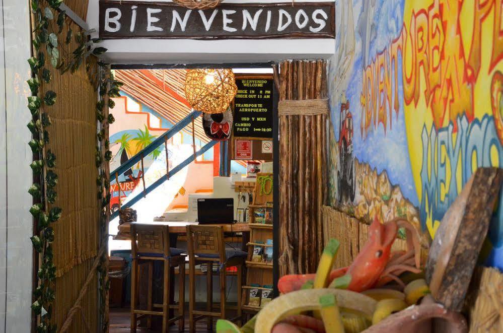 Adventure Experience Hotel Playa del Carmen Exterior photo